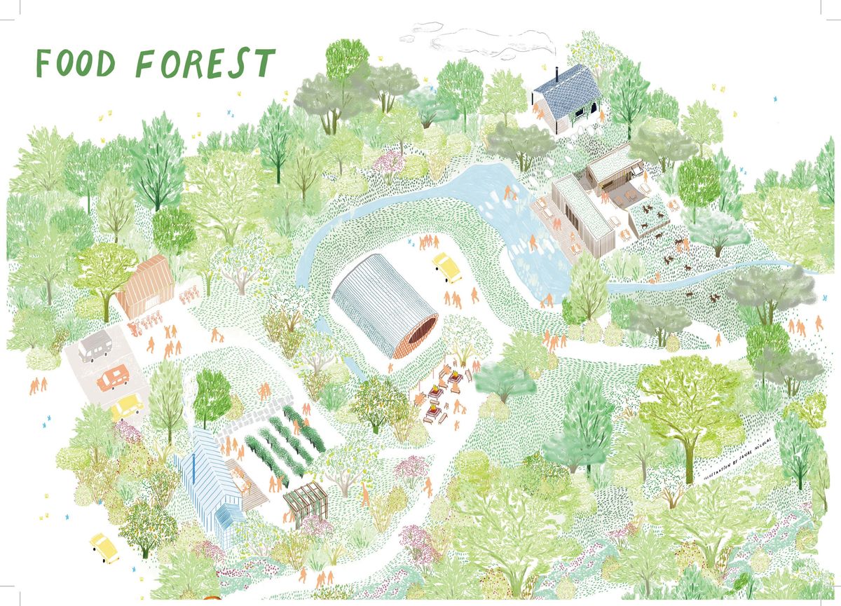food forestのイメージ図