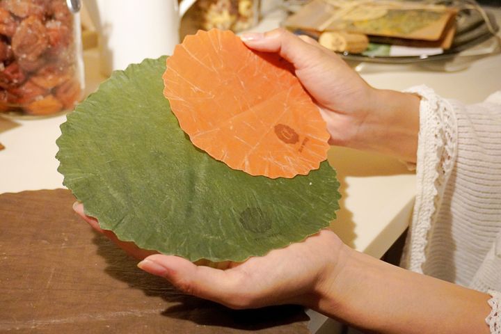 柴咲コウさんお気に入りのエシカルアイテムを大公開 北海道のご自宅