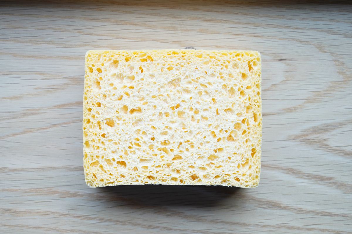 ベジタブルスポンジ