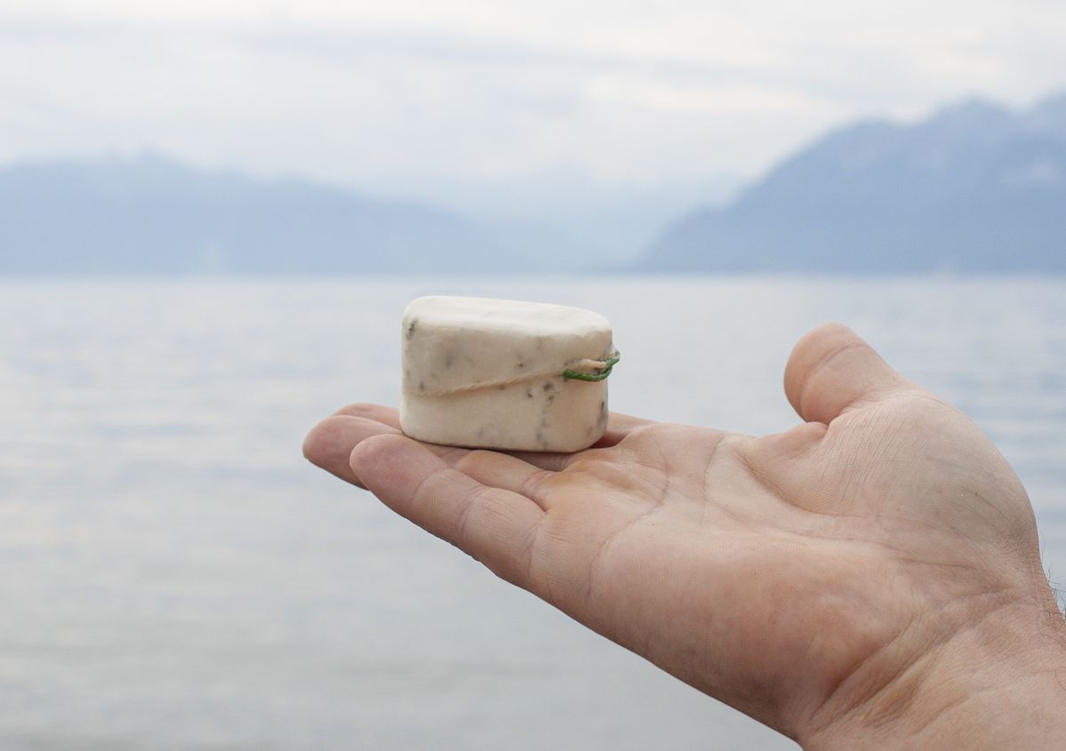 手のひらにのった「Tofu to-go」