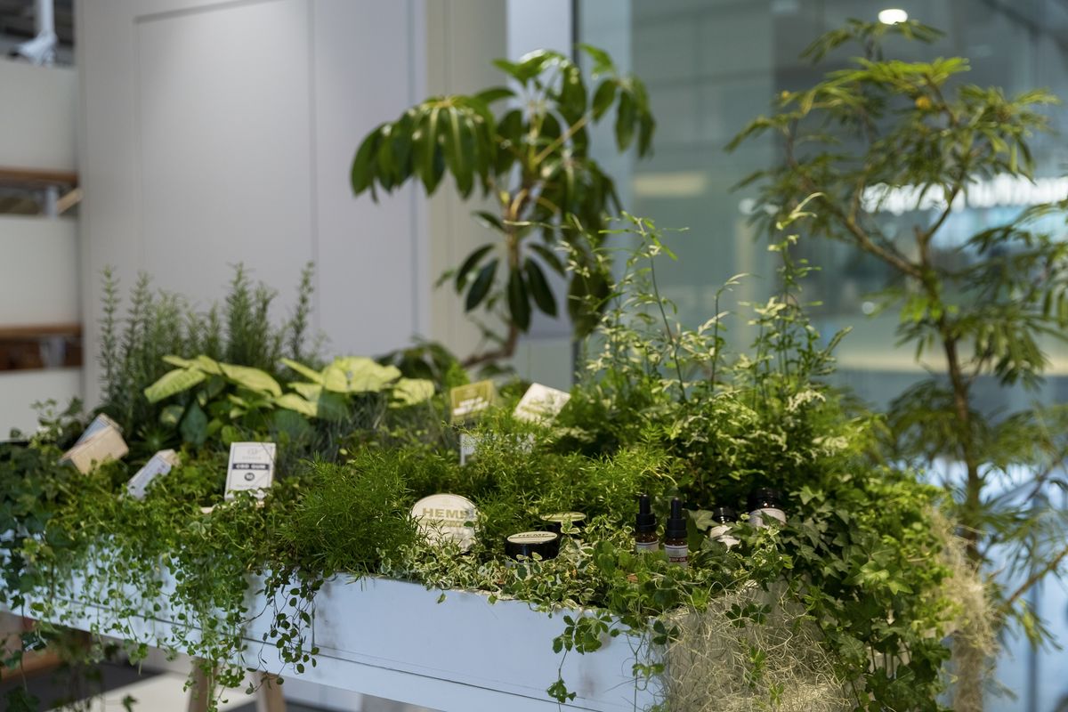 植物とともに展示されているENDOCAの商品