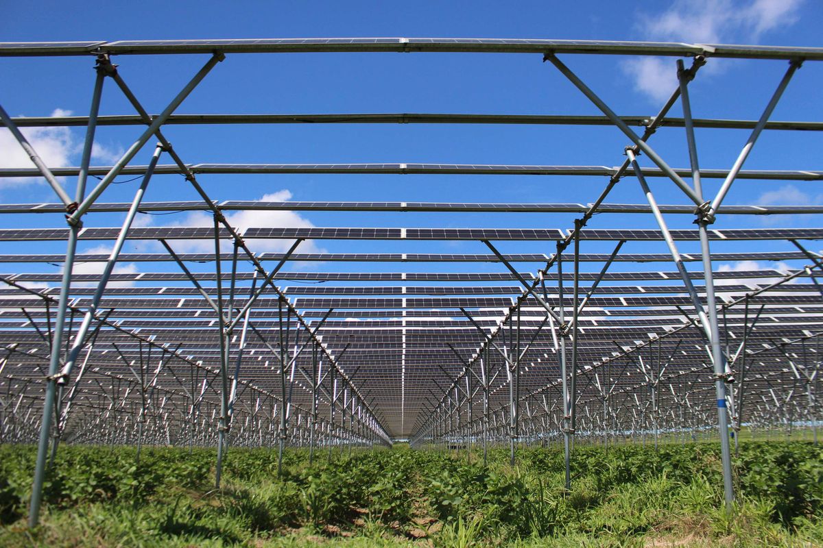 太陽光発電施設