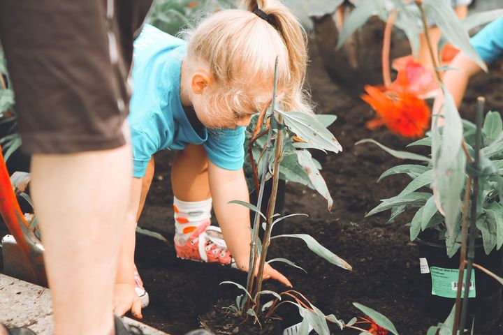 赤ちゃんが誕生するたびに木を植える 英国の団体がウガンダに1500万本を植樹 Eleminist エレミニスト