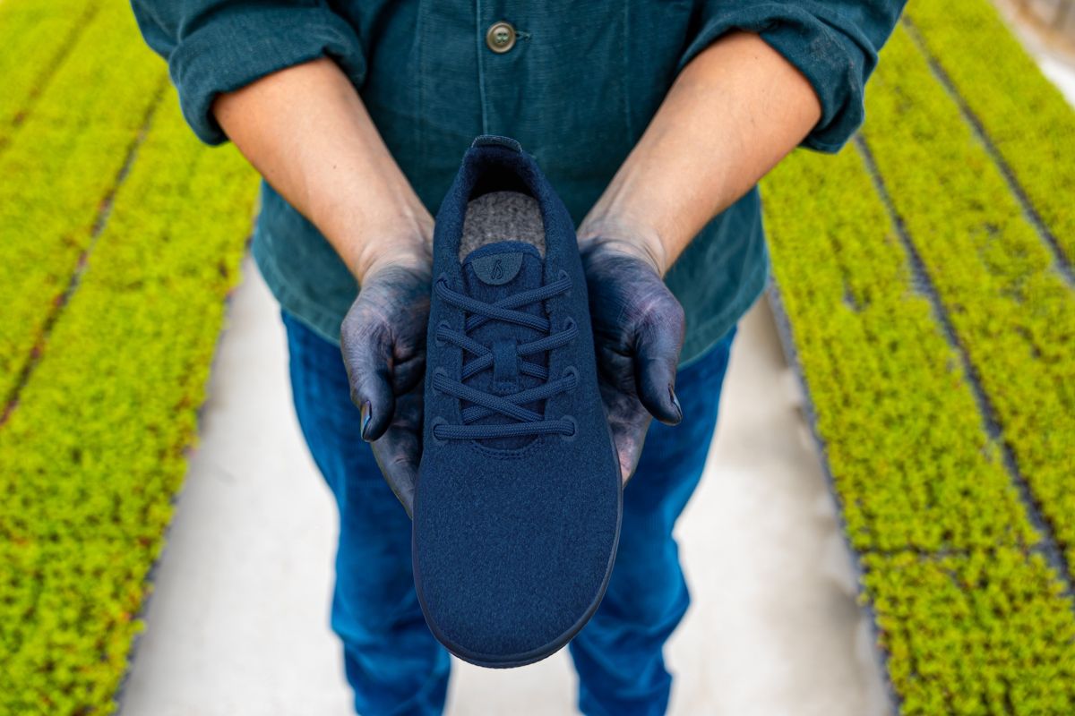 allbirds天然藍の限定シューズ