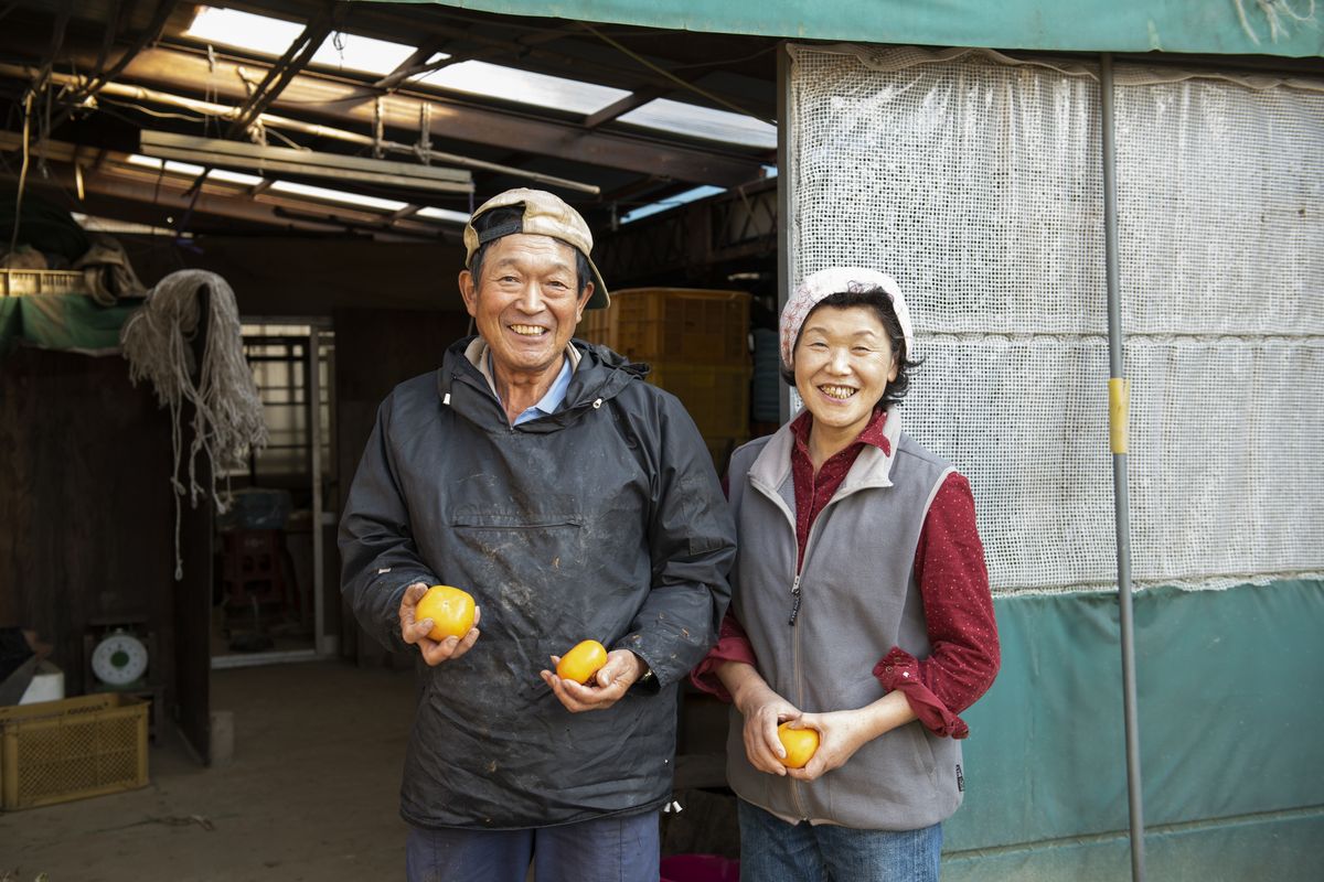 柿を手に取った農家