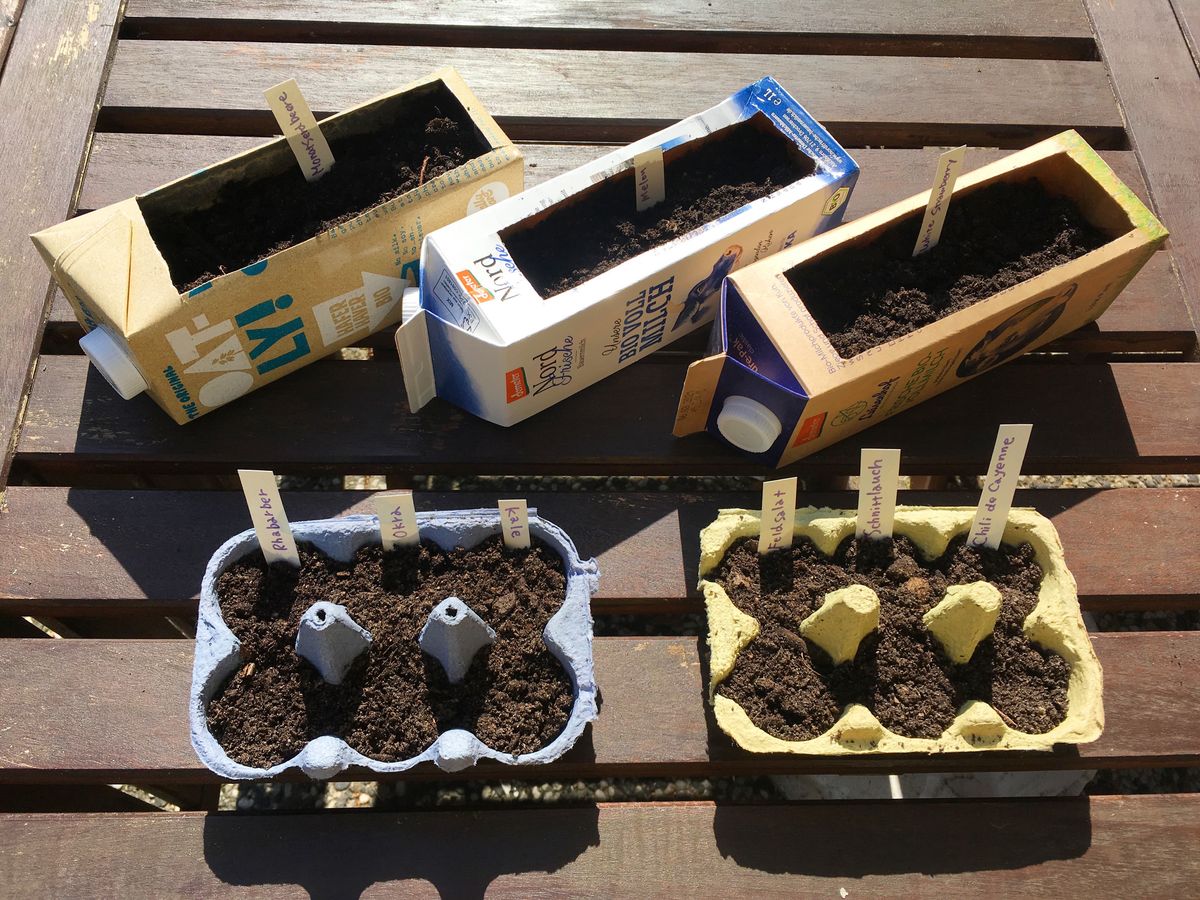 卵パックと牛乳パックに入ったコンポストの土