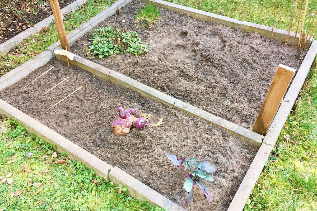 整地した庭の畑