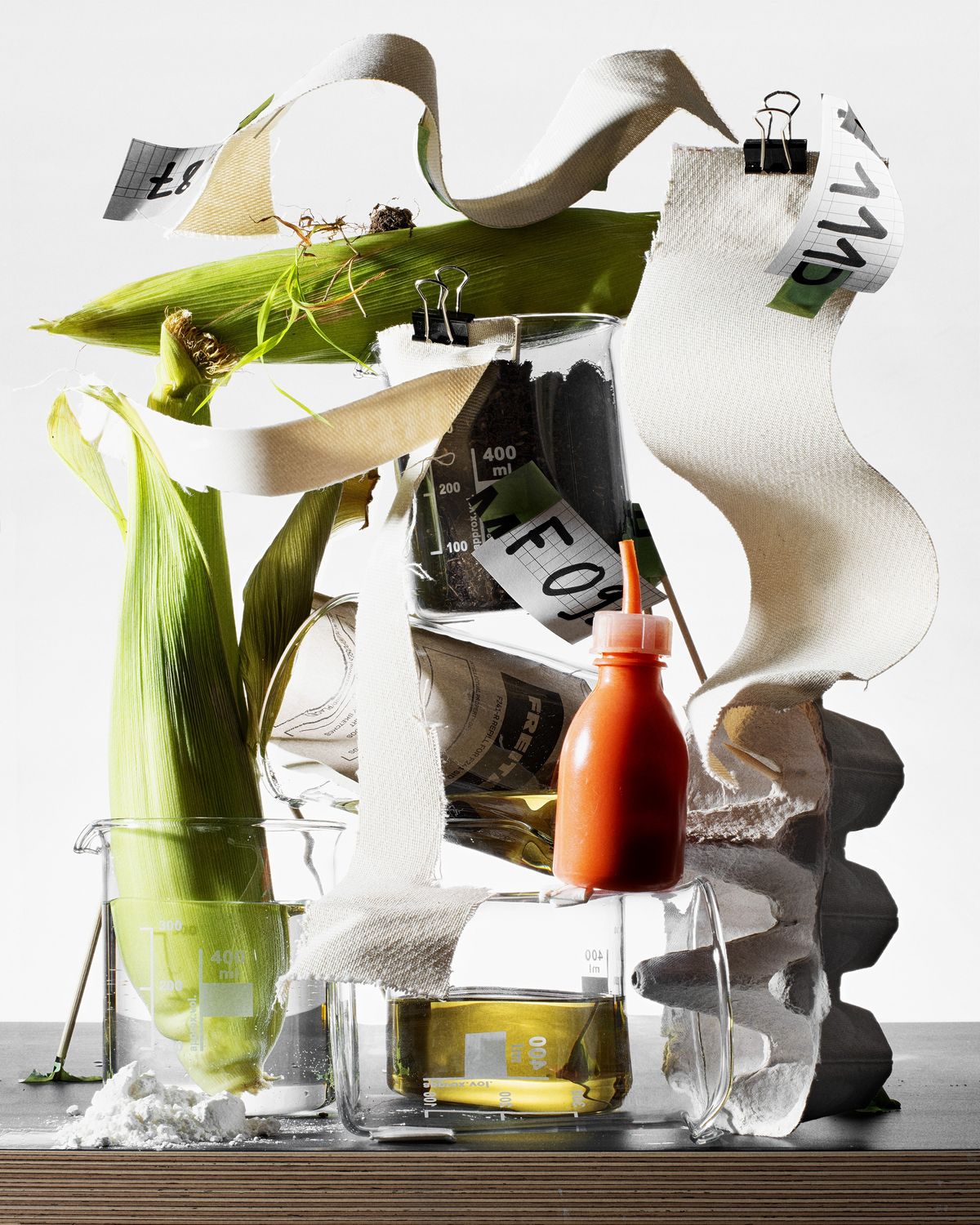 ニコラス・ポリの作品