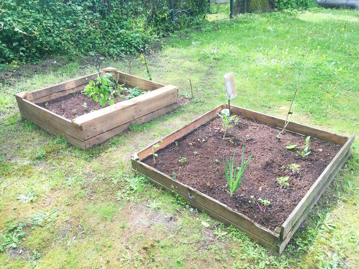 第３回 ベルリンで畑づくり とりあえずやってみよう が教えてくれたこと Eleminist エレミニスト