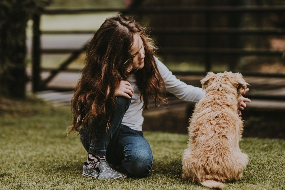フランスで動物愛護法案を改正