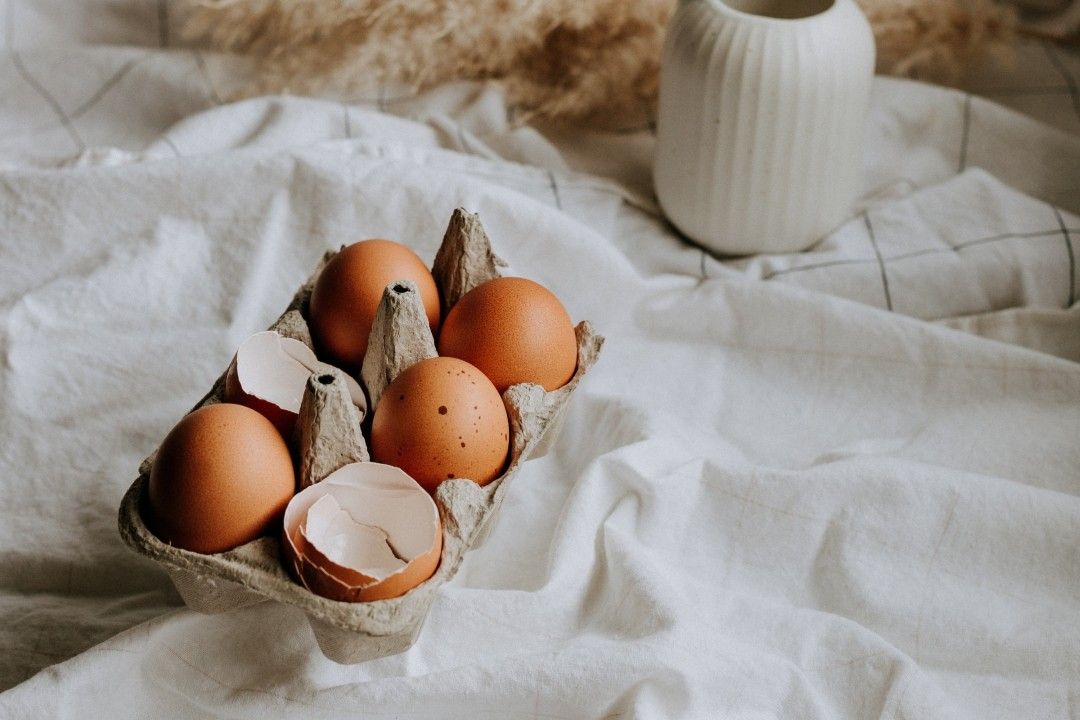 米カリフォルニア州、生ごみのたい肥化が義務