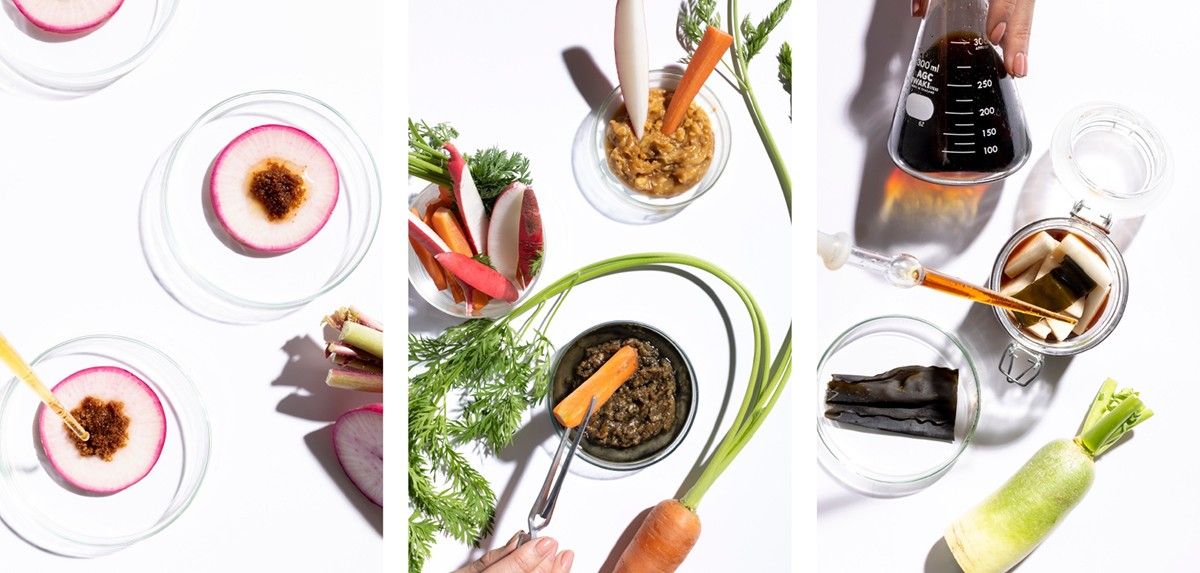 野菜や味噌、酢など