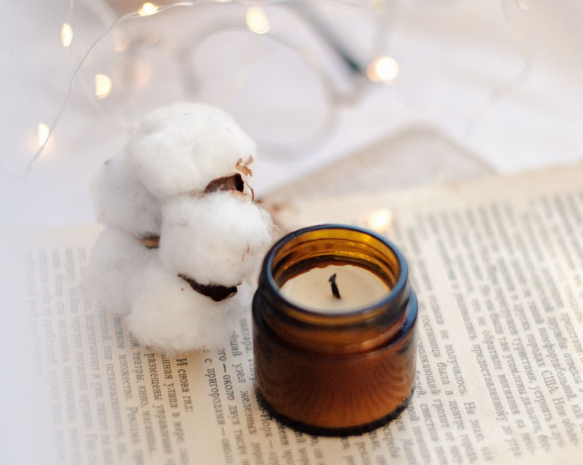 オーガニックコットンなど、日本・世界のオーガニック認証