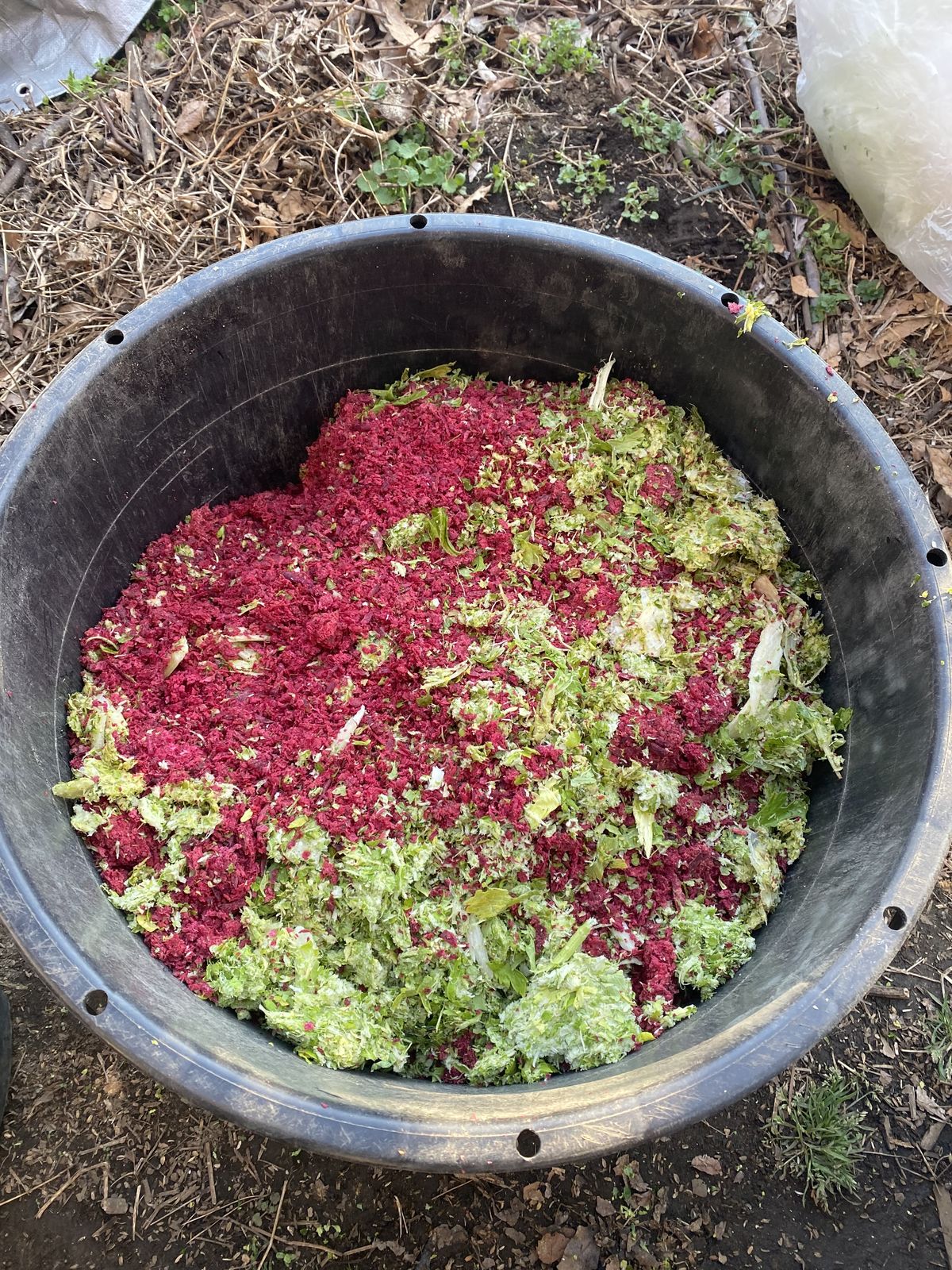 堆肥づくりの途中工程