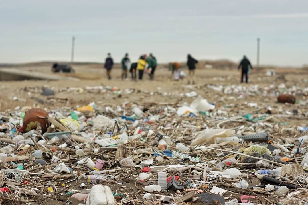 クリーンビーチ活動