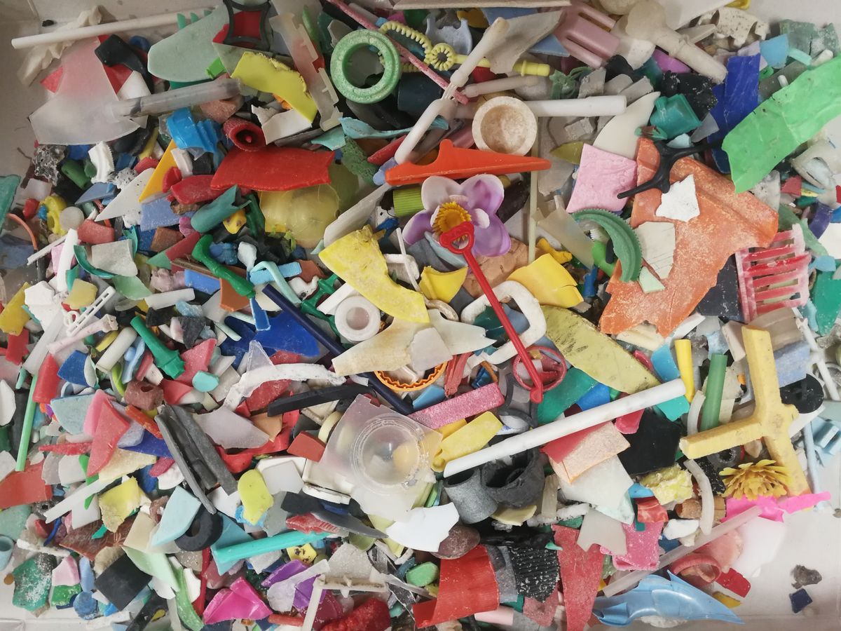 海洋プラスチック