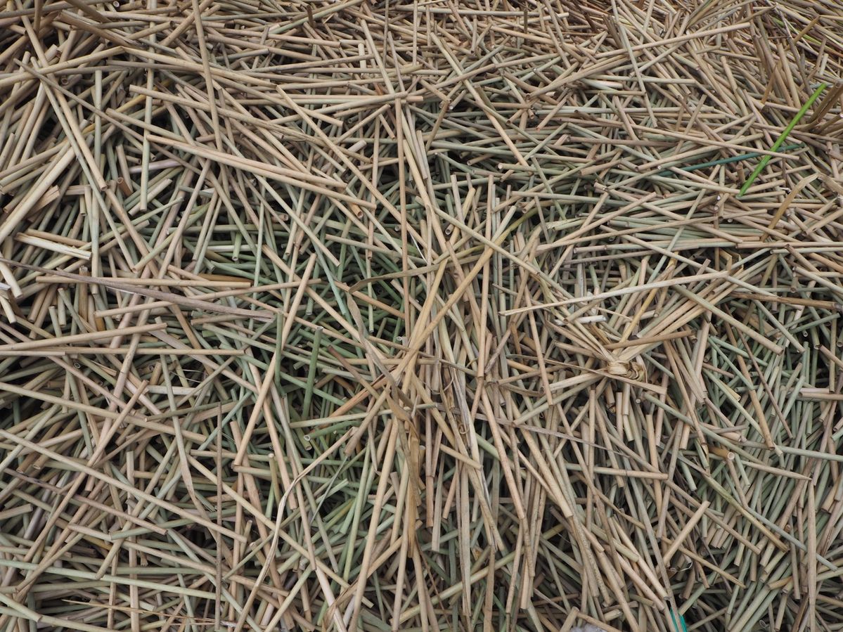 分解中の草ストロー