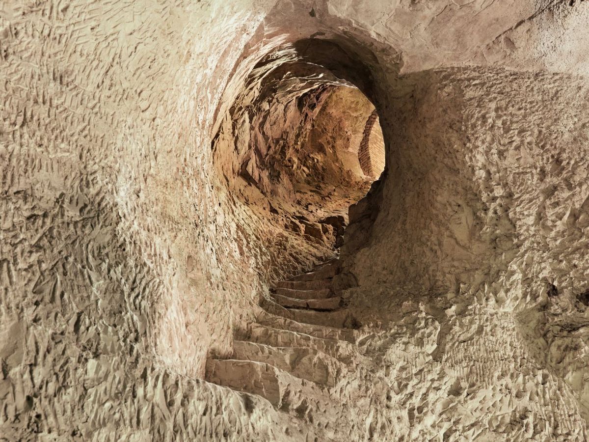 シャンパーニュ セラー 「クレイエル」