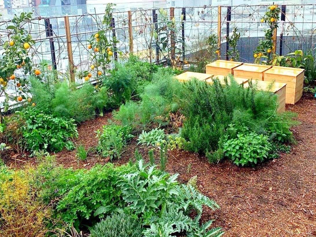 eatrip soil4階のコンポスト