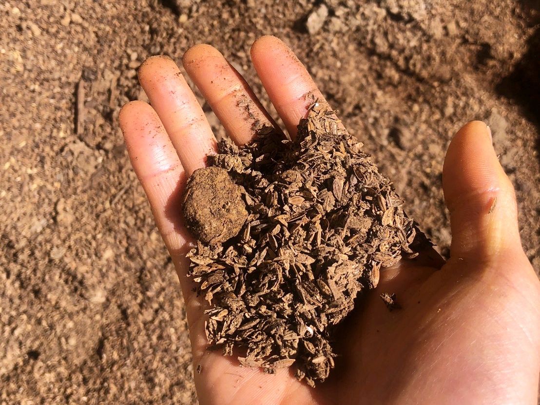 サンシャインジュースでつくったコンポスト