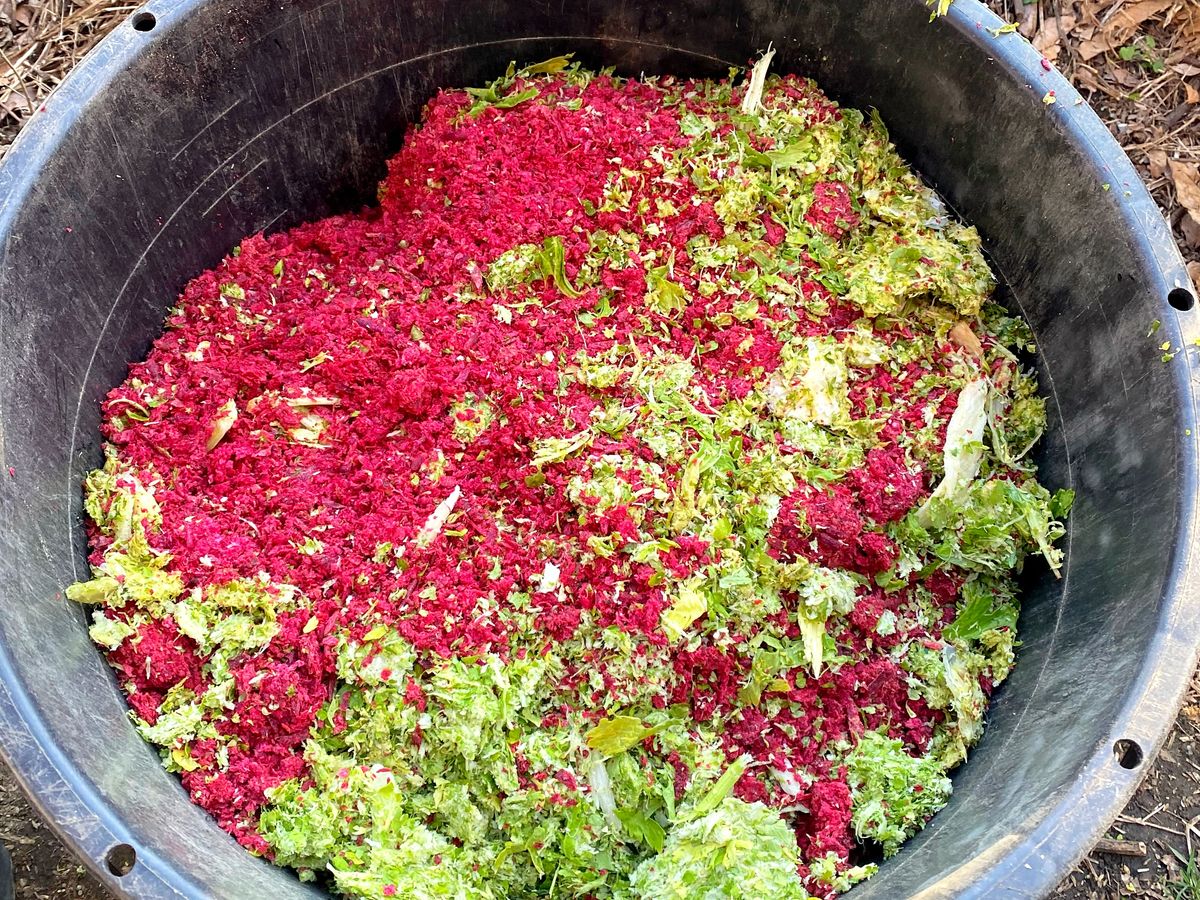 ジュースの残渣を混ぜた堆肥