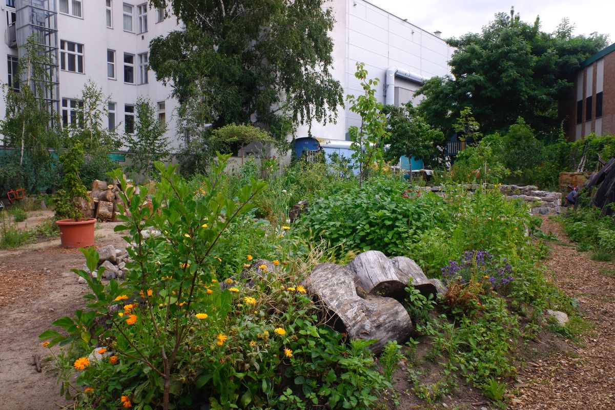 「パーマカルチャー」を取り入れた有機ガーデン