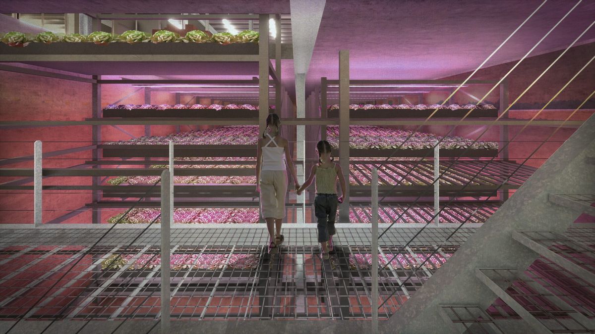 水上養鶏場のイメージ図:農園