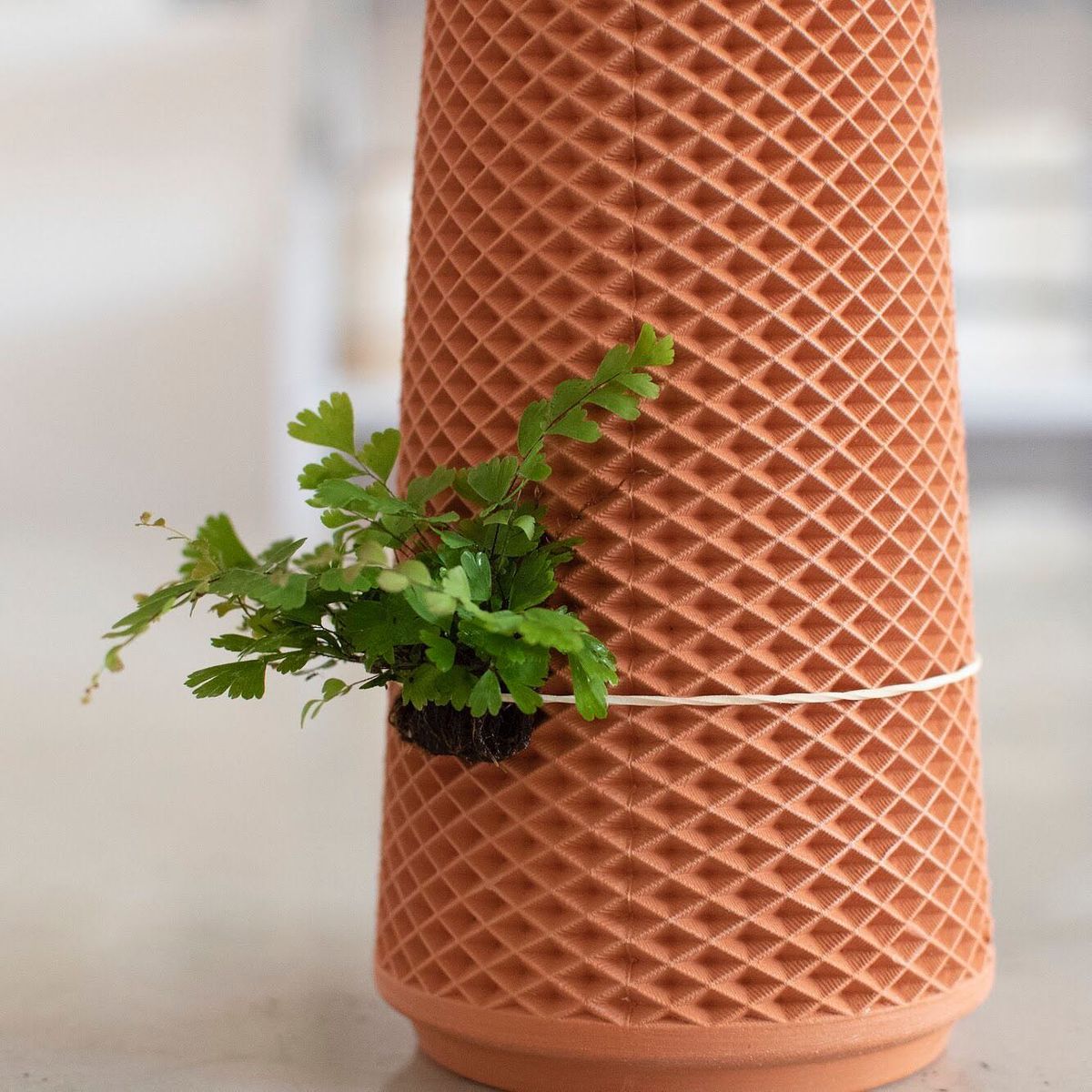 植物の苗が巻きつけられた「Terraplanter」