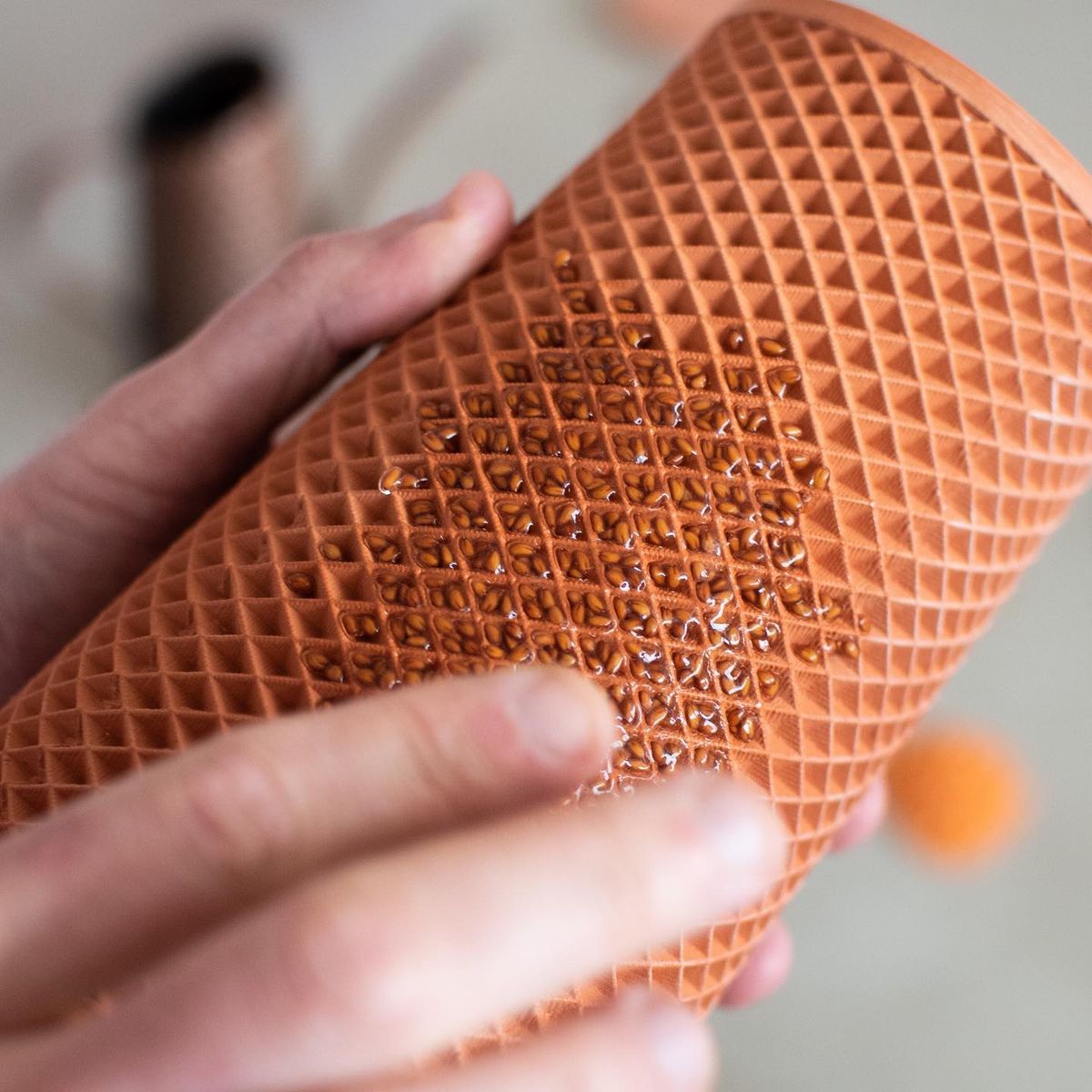 植物の種が擦り込まれた「Terraplanter」