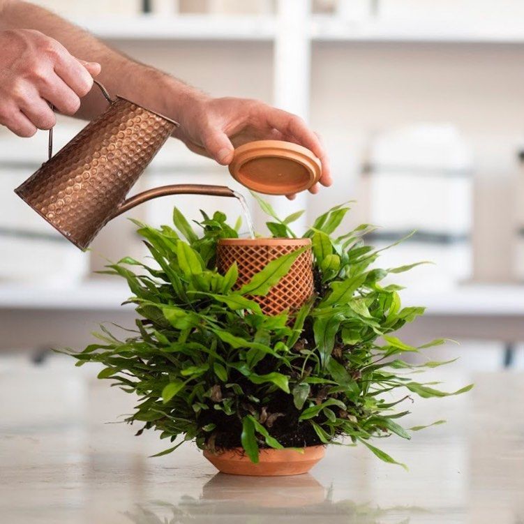 「Terraplanter」の鉢