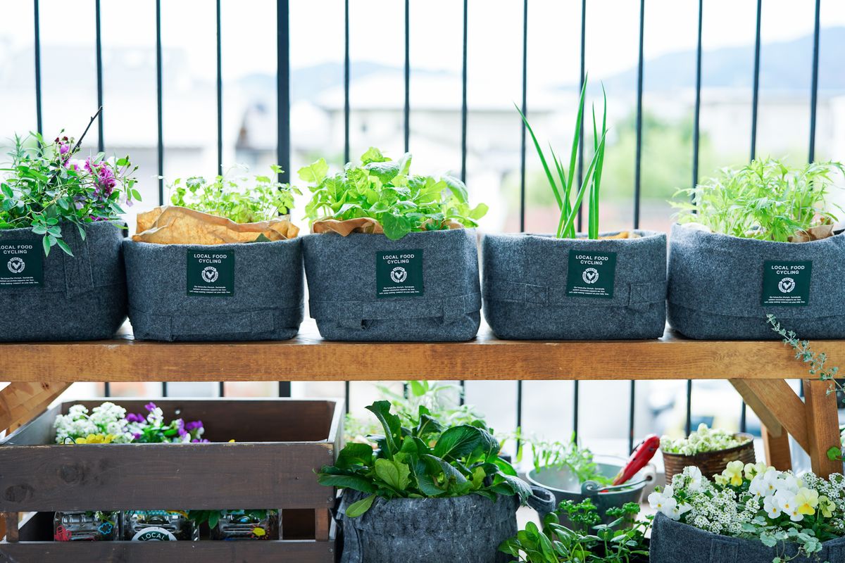 LFCガーデニングセット