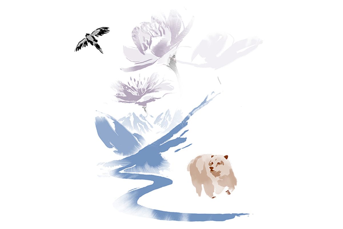 クマと野鳥、川のイラスト