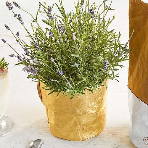 リユース可能なギフトバッグ②