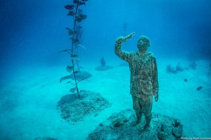 絵画　オーストラリア　グレートバリアリーフ　中古品 アートで海洋汚染を警告 グレートバリアリーフに海中美術館が