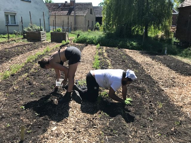 暑い日にビキニで作業する姿