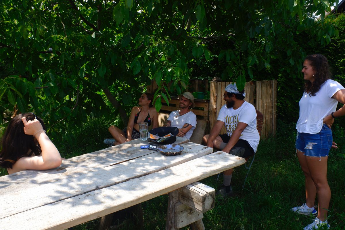 ボランティアスタッフ