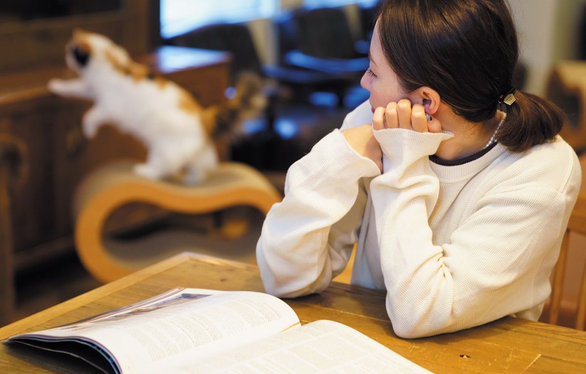 グラフィックデザイナーと猫