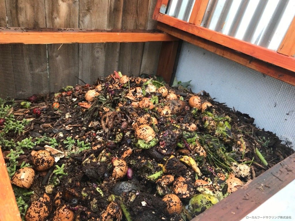 生ごみが集まった様子