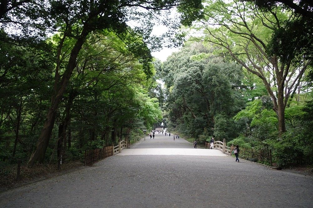 明治神宮の参道