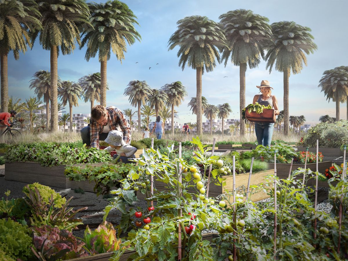 エジプトのカイロ東部に誕生予定の世界初のネットゼロ都市「Nexgen」