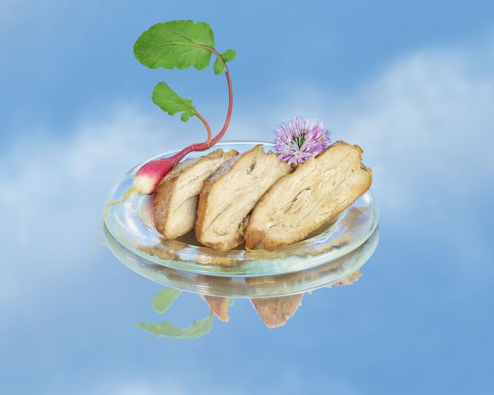 わずか4日で製造できる 空気からつくる代替肉「エア・ミート