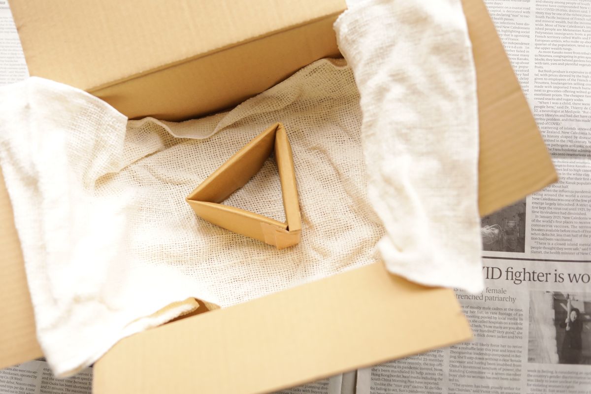 段ボールの中に濡れタオルを入れたムロ