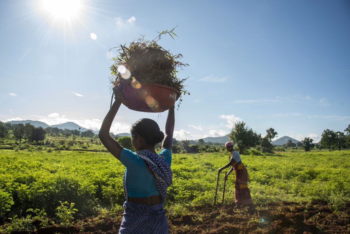 収穫した農作物を持ち上げる女性