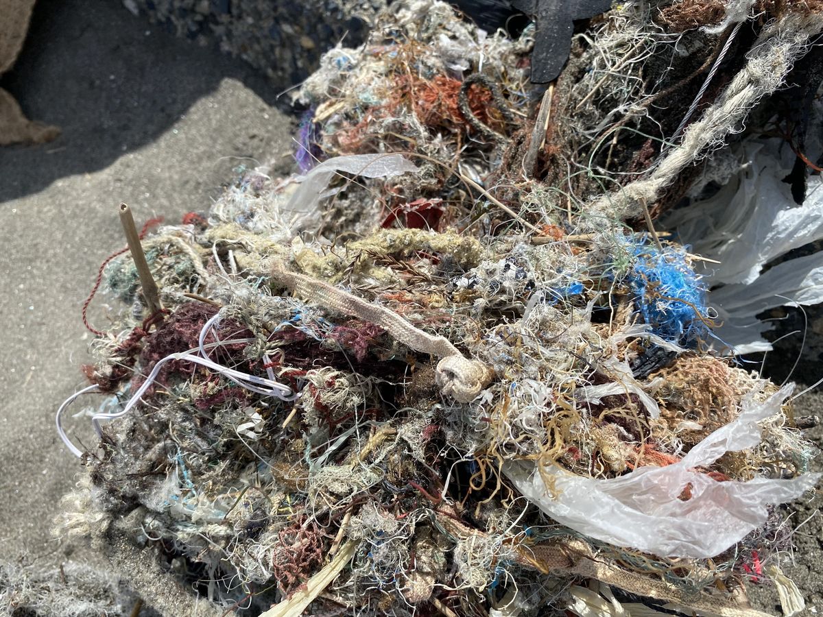 ビーチクリーン千葉県・太東海岸