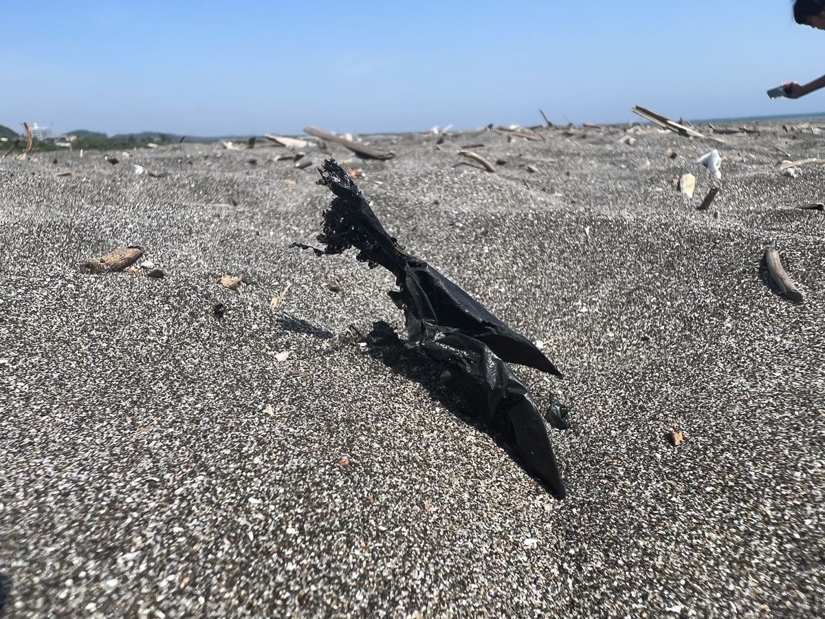 ビーチクリーン千葉県・太東海岸