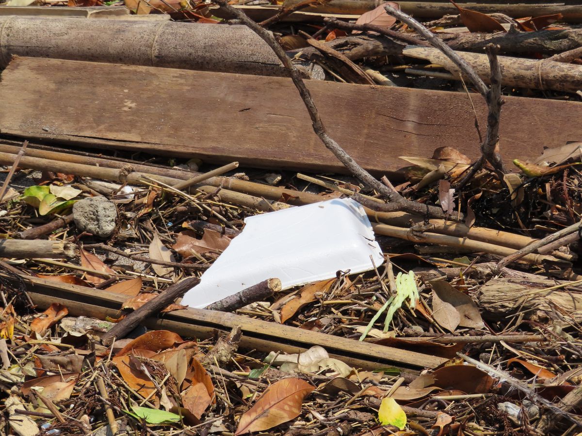ビーチクリーンでのごみ