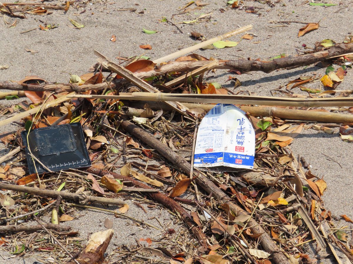 ビーチクリーンでのごみ