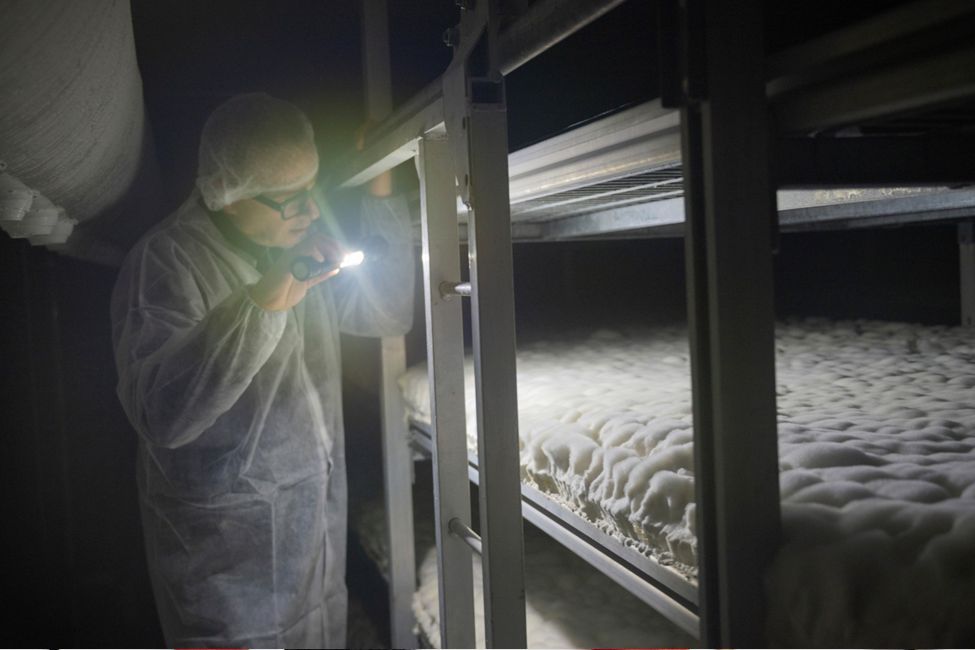 マッシュルームレザー「Mylo（マイロ）」を手がけるボルトスレッド