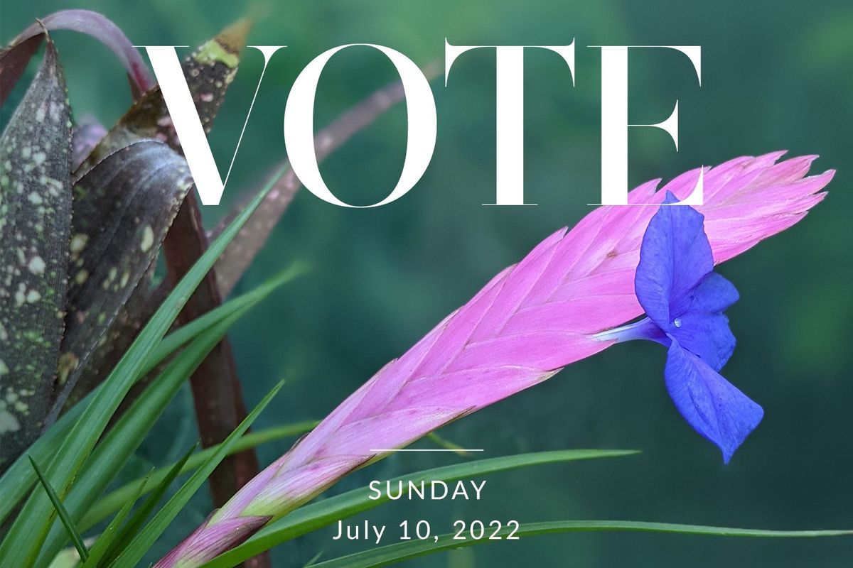 ELEMINIST SHOP 2022選挙割