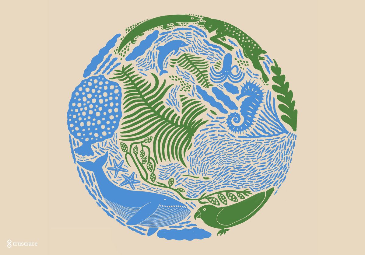 アパレル業界のトレーサビリティのガイドブック「The Traceability Playbook」